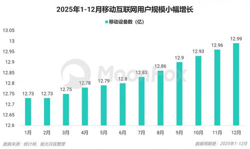 2025年第四季度移動互聯(lián)網(wǎng)行業(yè)數(shù)據(jù)研究報(bào)告 數(shù)據(jù)服務(wù)領(lǐng)域的深度洞察